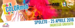 ScuolaZoo-2016-sandro-bani-spoleto-a-colori-colormob-25-aprile