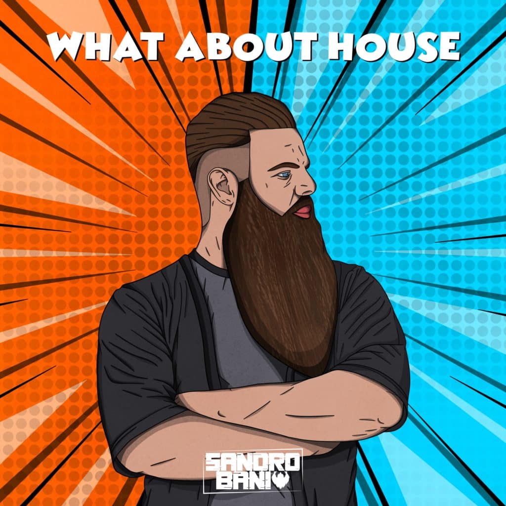Sandro Bani - What About House